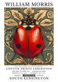 Licensed insect artwork 17