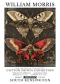 Licensed insect artwork number 9 for sticker