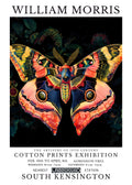 Licensed insect artwork 24 for sticker