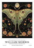 Licensed insect artwork 18 for apparel