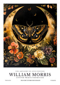 Licensed insect artwork 29