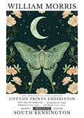 Licensed insect artwork 22 for sticker
