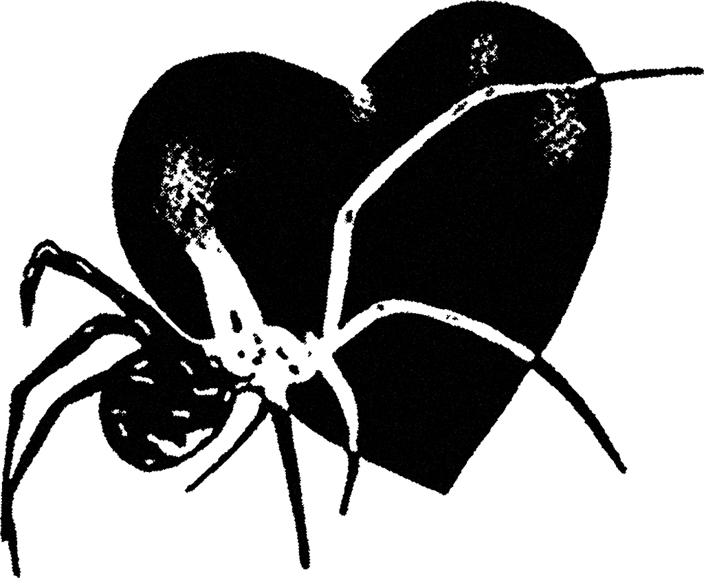 Spider Heart streetwear graphic