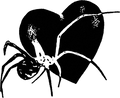 Spider Heart streetwear graphic