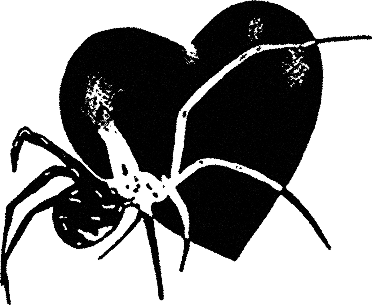 Spider Heart streetwear graphic