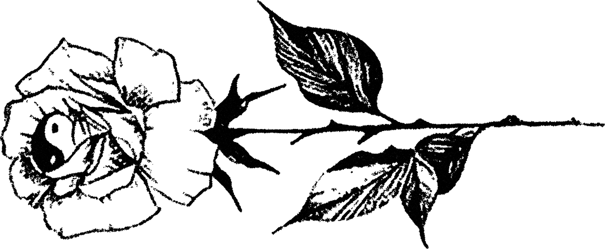 Rose streetwear graphic