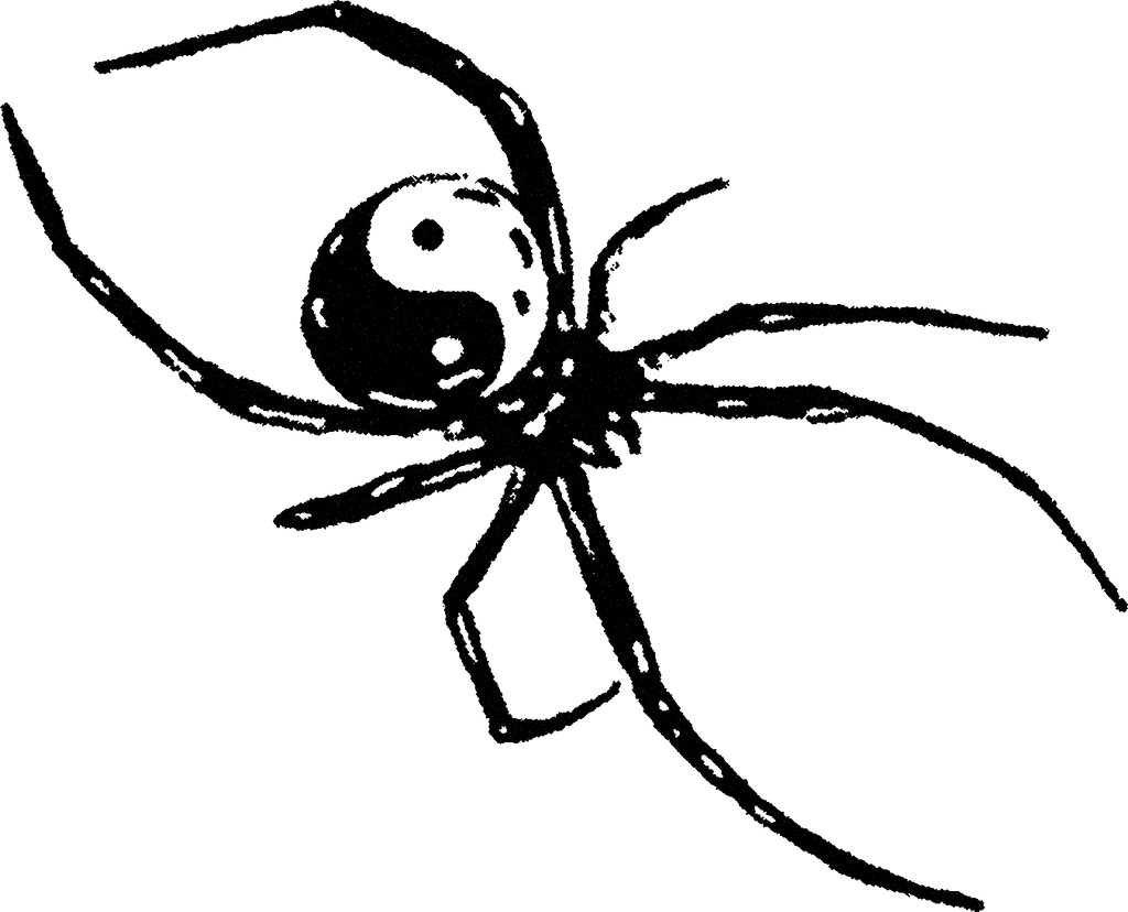 Spider 6 streetwear graphic