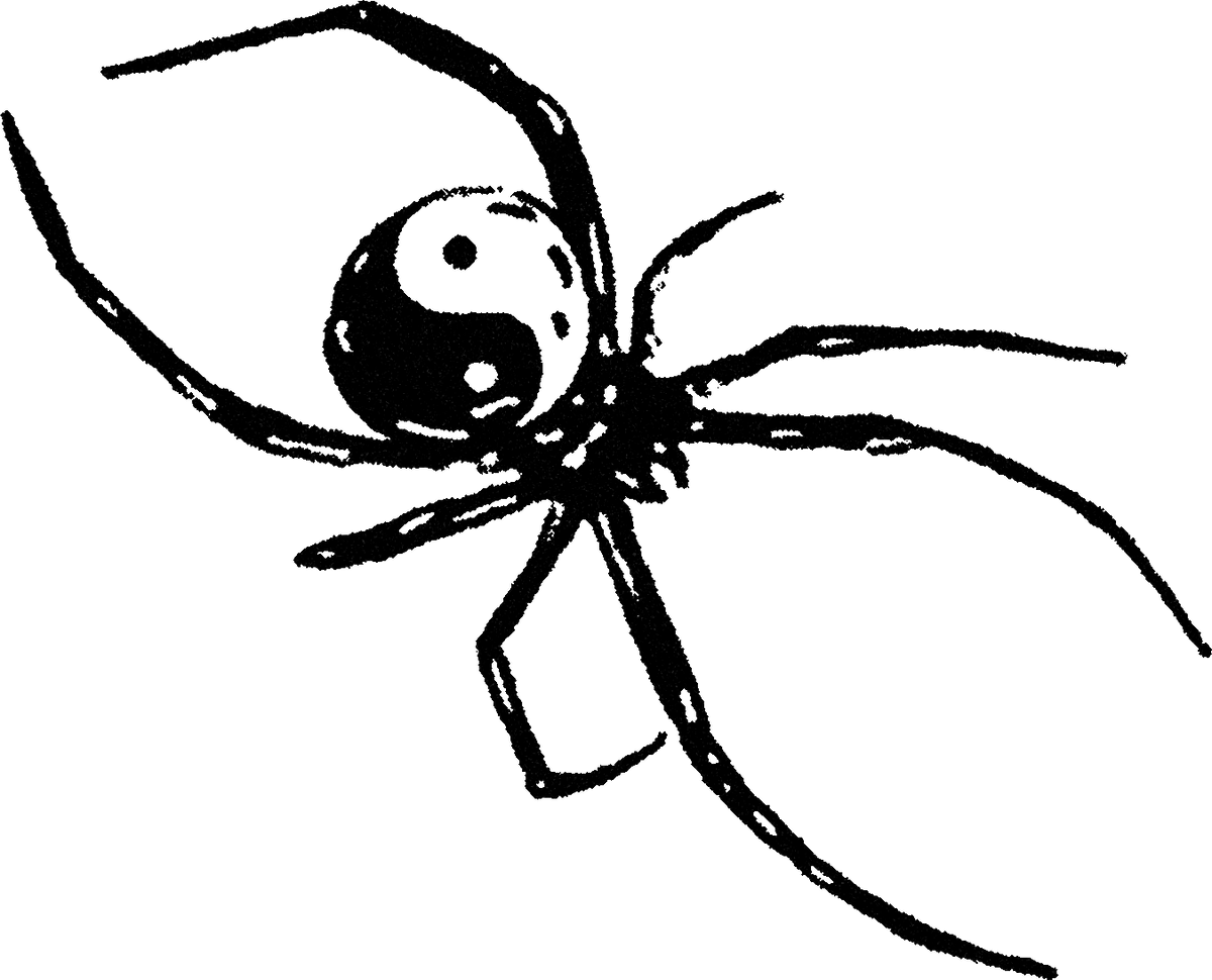 Spider 6 streetwear graphic