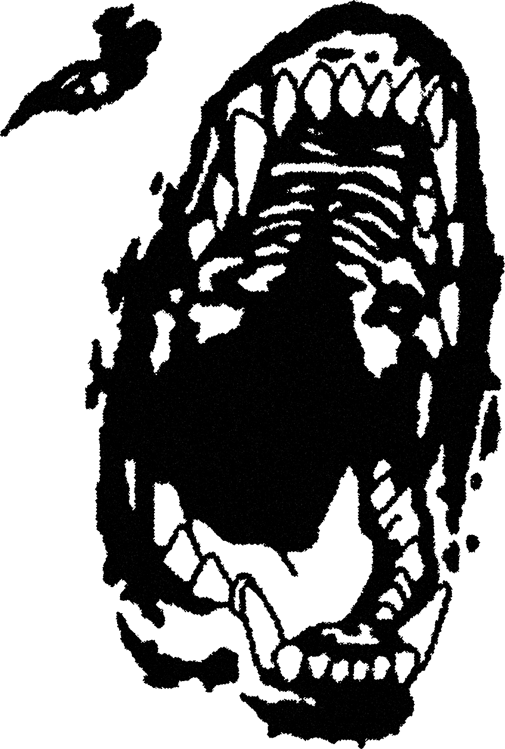 Bark streetwear graphic