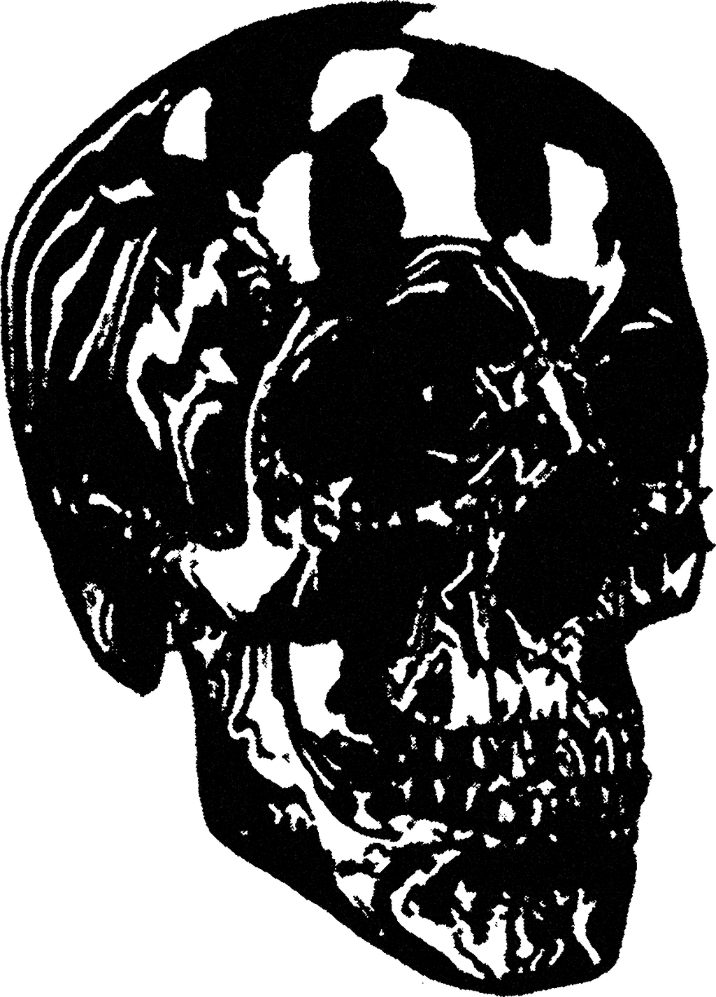 Human Skull streetwear graphic