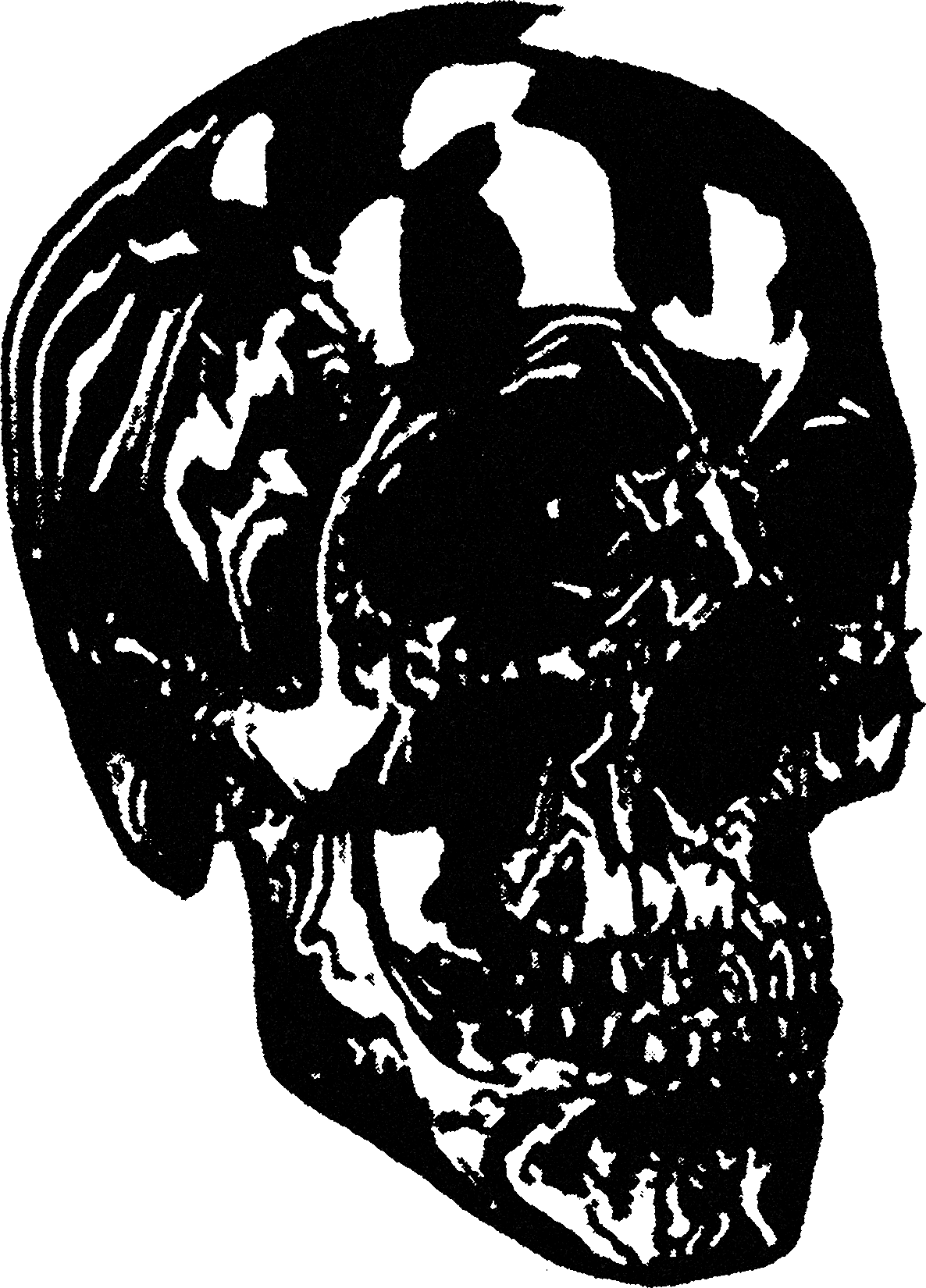 Human Skull streetwear graphic