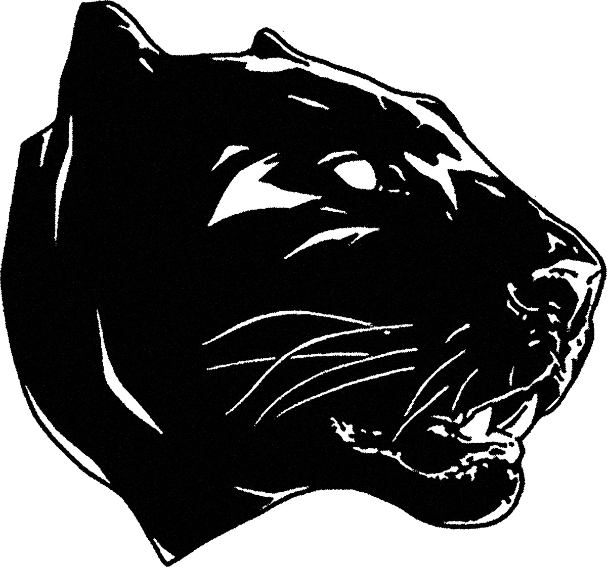 Puma streetwear graphic