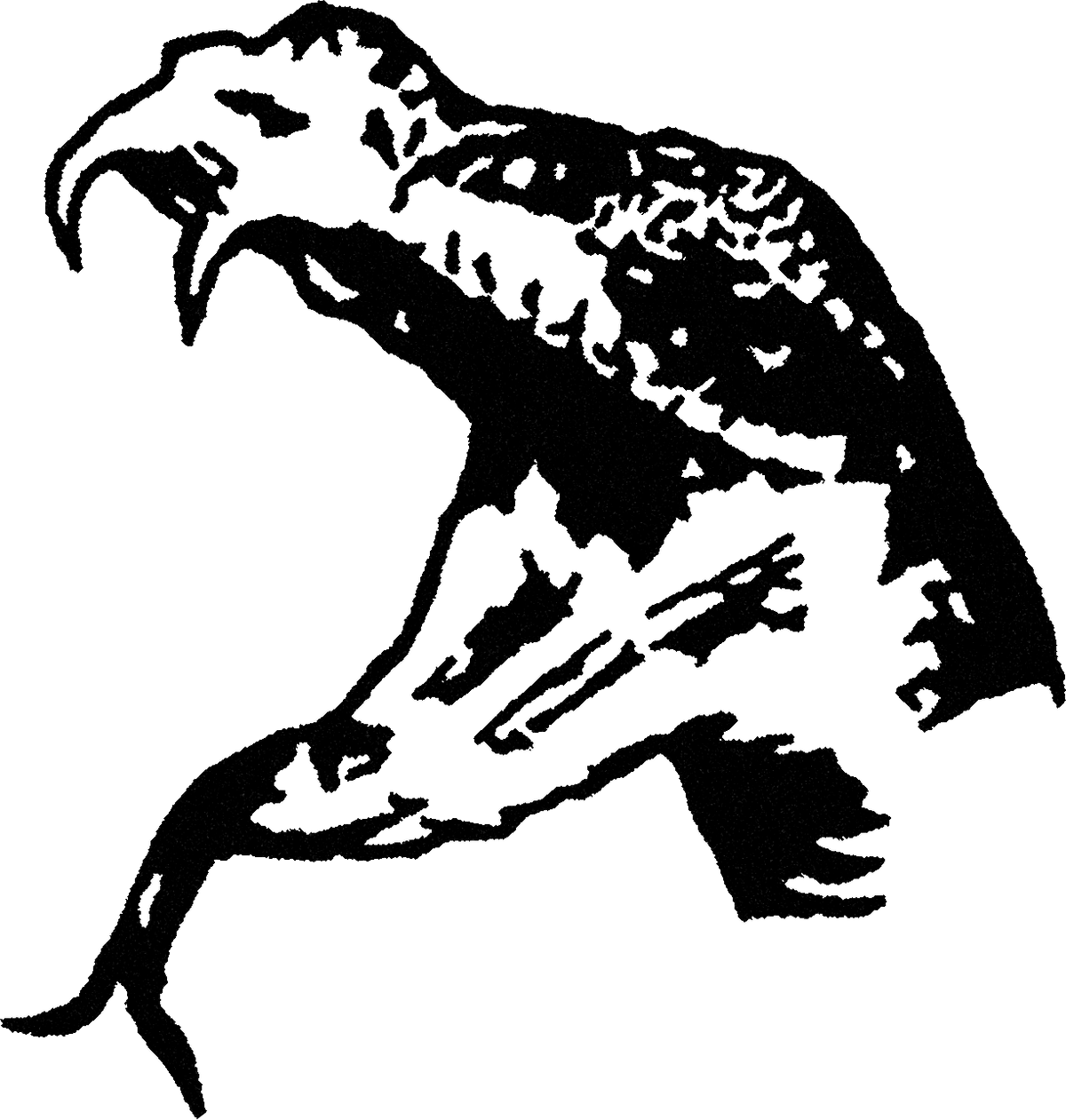 Snake Head streetwear graphic