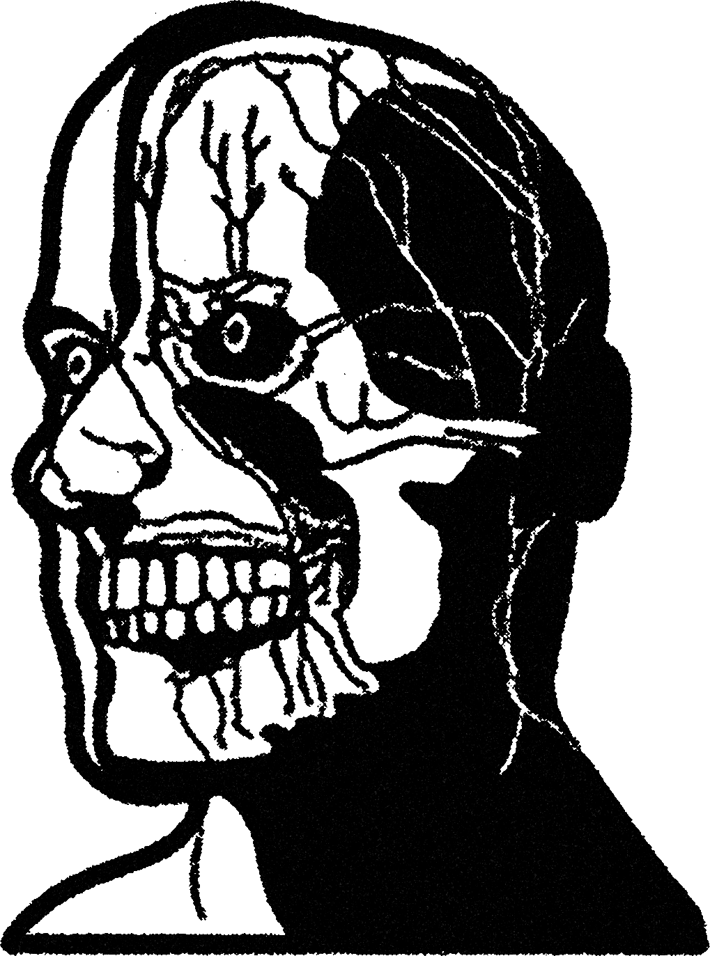 Nerve System streetwear graphic