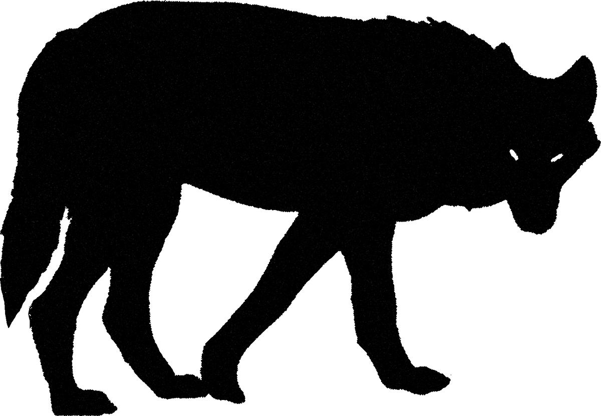 Wolf streetwear graphic