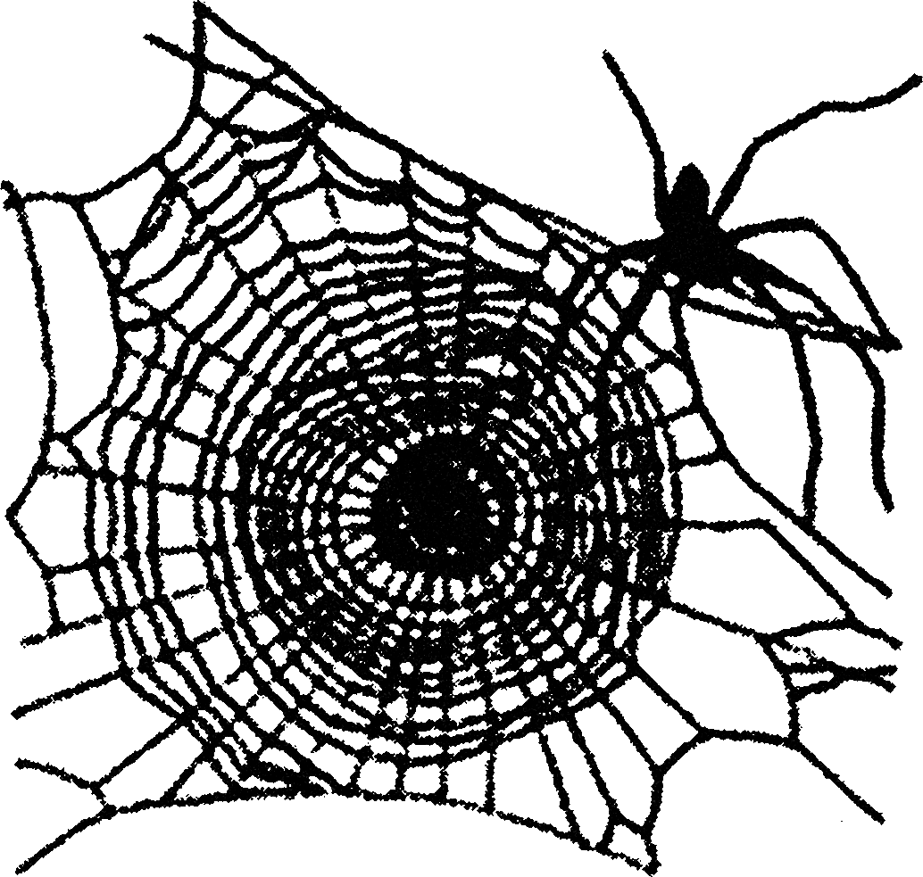 Spider 2 streetwear graphic