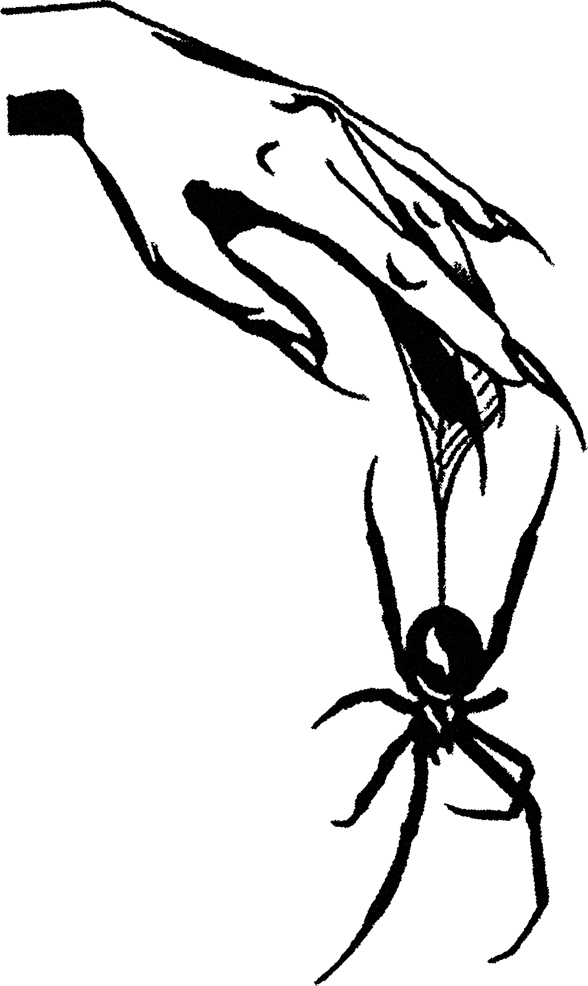 Hand and Spider streetwear graphic