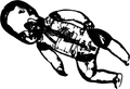 Dark Baby streetwear graphic