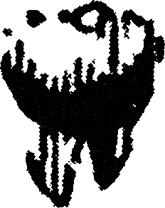 Tooth streetwear graphic