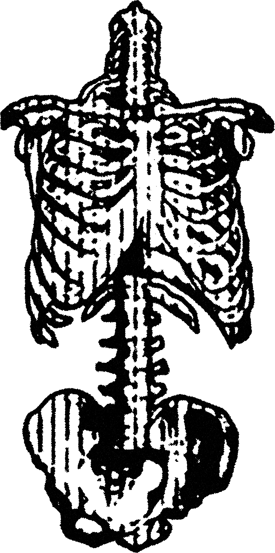 Skeleton streetwear graphic