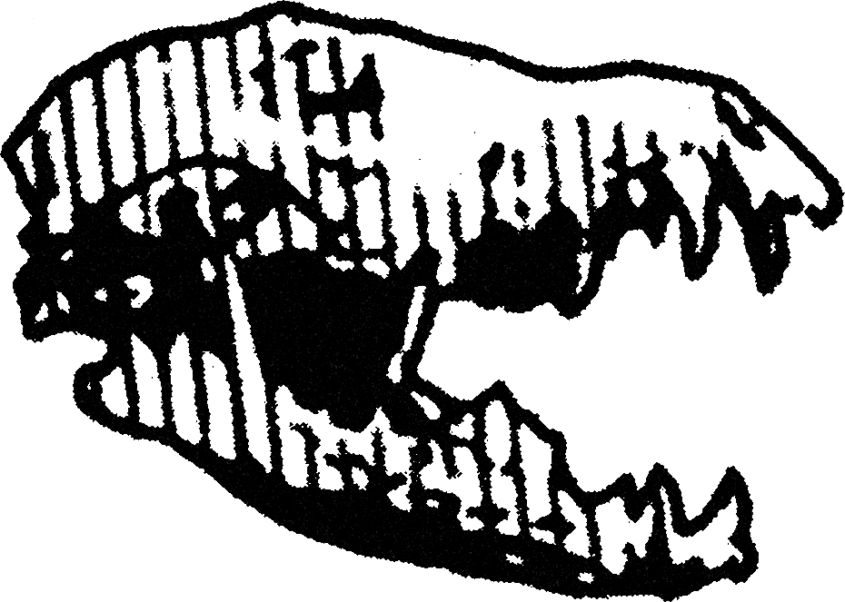Crocodile Skull streetwear graphic