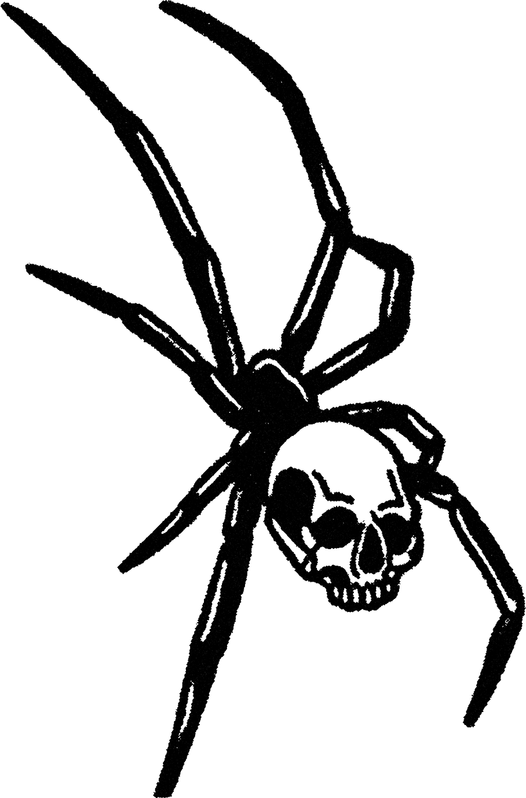 Spider streetwear graphic