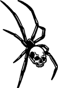 Spider streetwear graphic