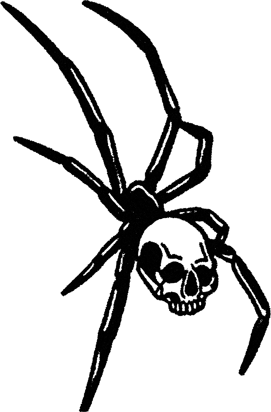 Spider streetwear graphic