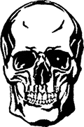 Streetwear skeleton head graphic