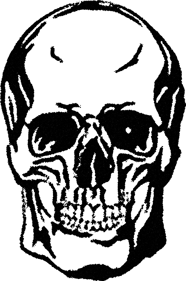 Streetwear skeleton head graphic